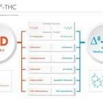 Delta 8 THC health benefits