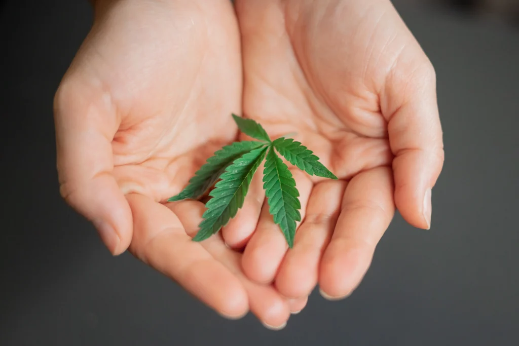 CBD products are believed to possess pain-relieving properties.